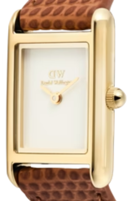 DANIEL WELLINGTON Bound Mini DW00100905 Silver Group