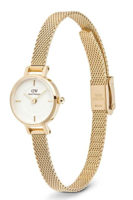 RUCNI SAT DANIEL WELLINGTON Petite Mini Evergold DW00100745 Silver Group