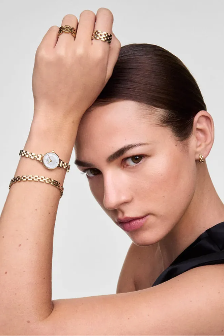 RUCNI SAT DANIEL WELLINGTON Petite Mini Evergold DW00100855 Silver Group