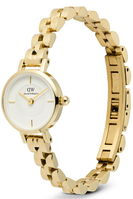 RUCNI SAT DANIEL WELLINGTON Petite Mini Evergold DW00100855 Silver Group