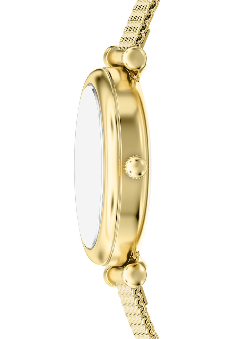 RUCNI SAT FOSSIL Carlie Mini ES5462 Silver Group