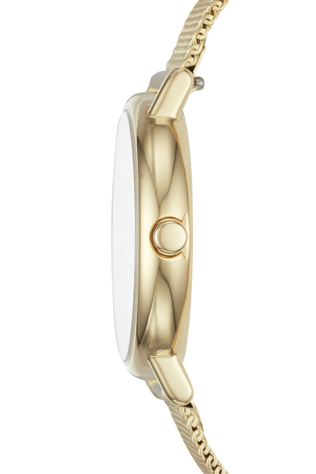 RUCNI SAT SKAGEN Lille SKW2693 Silver Group