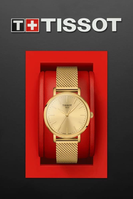 RUCNI SAT TISSOT Everytime T143.210.11.011.00  Silver Group