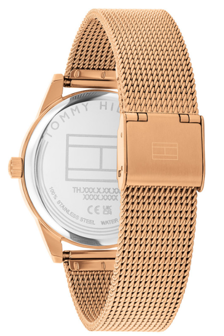 RUCNI SAT TOMMY HILFIGER 1782770 Silver Group